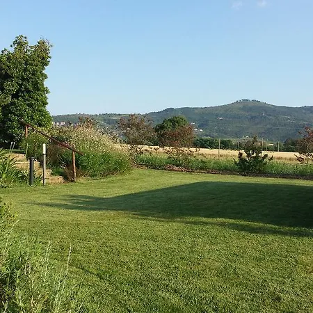 Hétvégi ház Residenza Zona Franca
