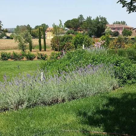 Country house Residenza Zona Franca Macchie (Perugia)